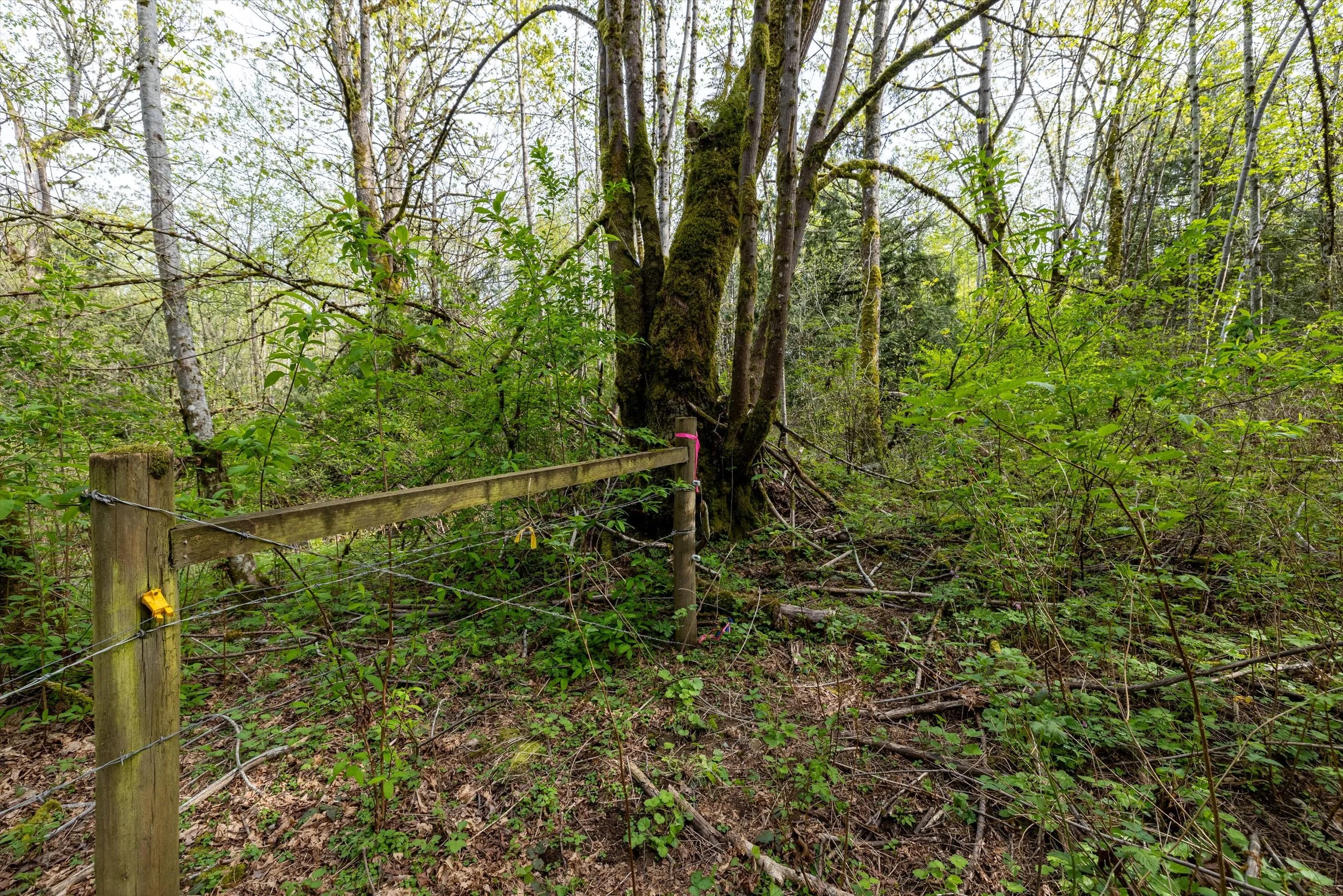 19-55xx East Rd, Bellingham-20.jpg