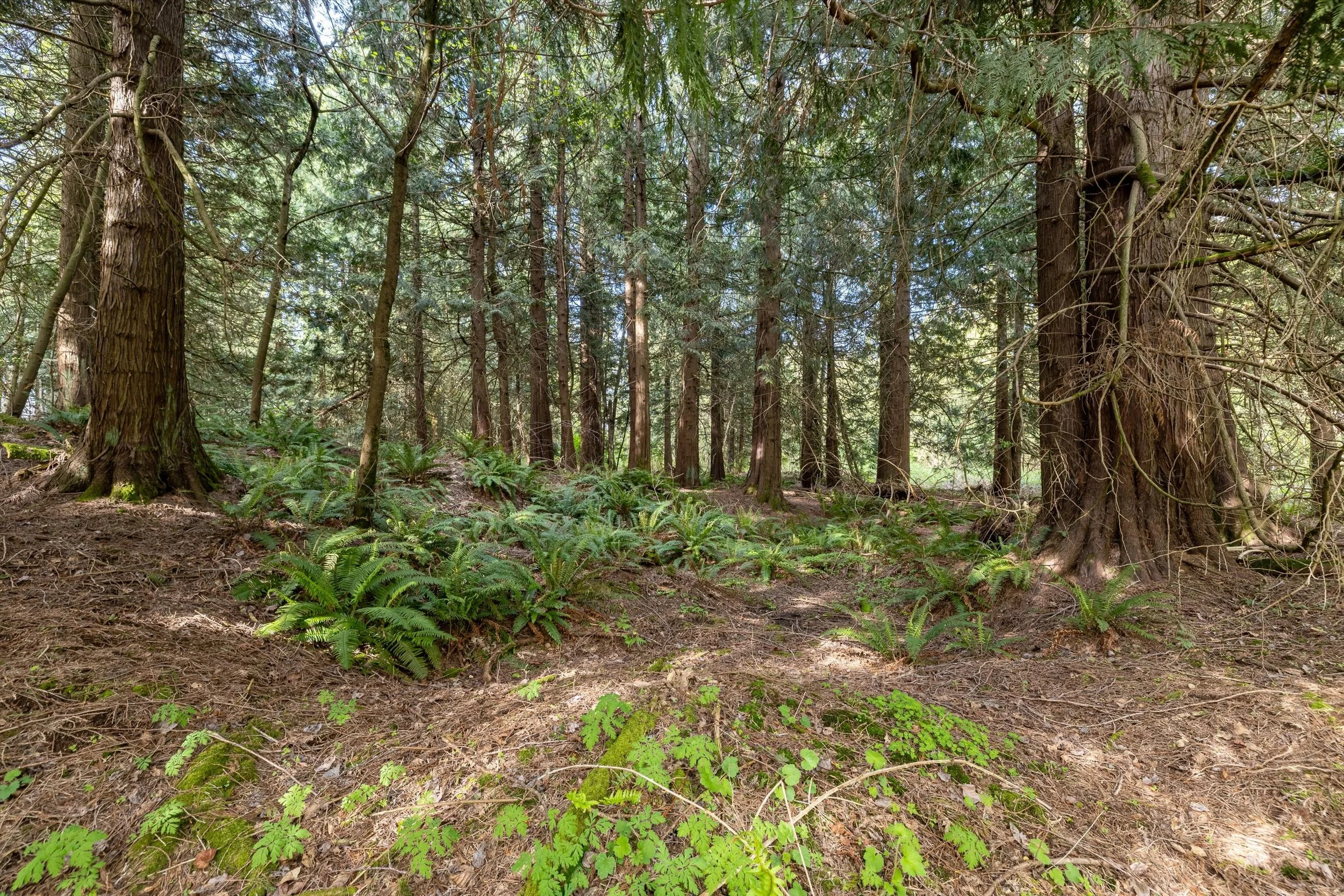 20-55xx East Rd, Bellingham-21.jpg