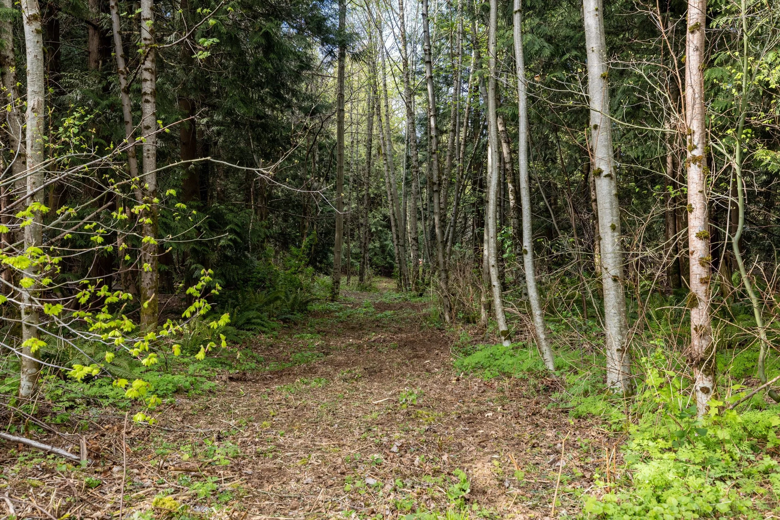 21-55xx East Rd, Bellingham-22.jpg