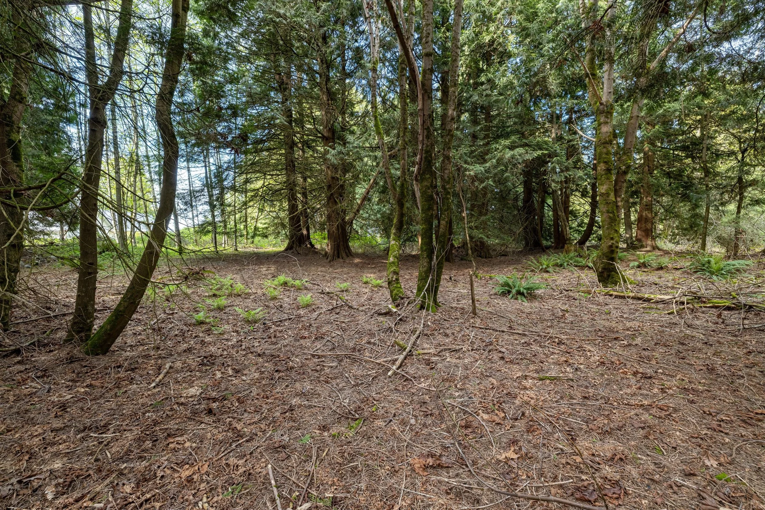 22-55xx East Rd, Bellingham-23.jpg