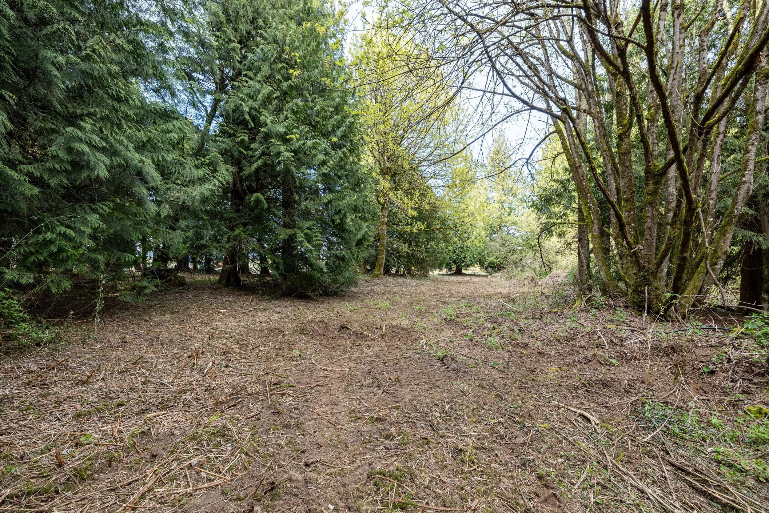 23-55xx East Rd, Bellingham-24.jpg