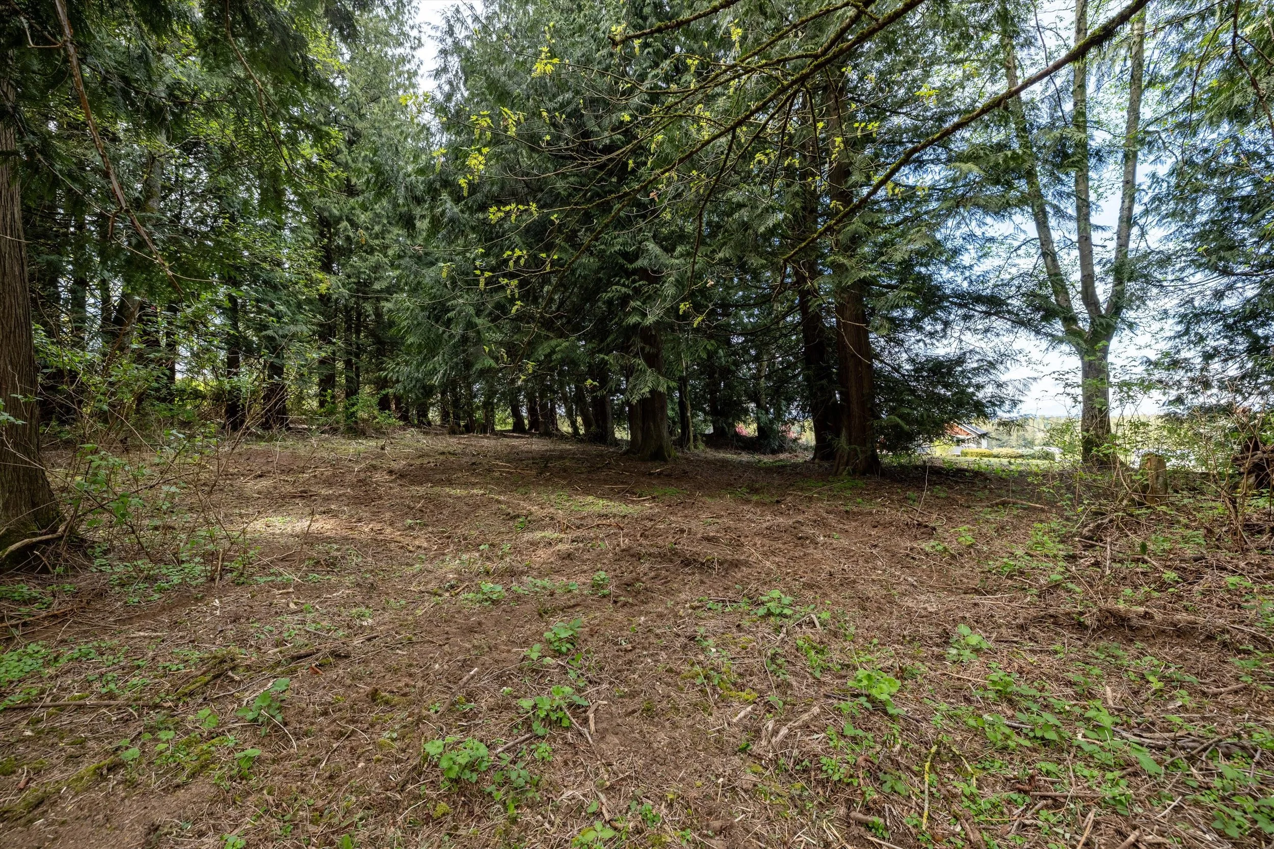 24-55xx East Rd, Bellingham-25.jpg