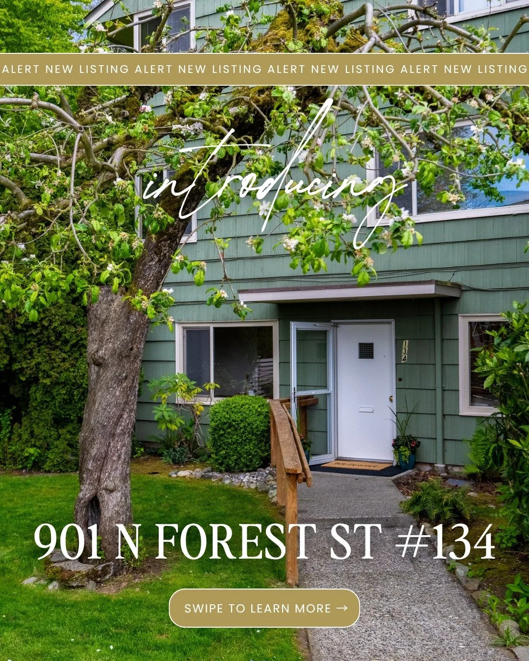 Imagine mornings with soft natural light, afternoons on the sun deck, and evenings surrounded by lush, peaceful courtyards 🌿

Welcome to Orchard Terrace&mdash;where historic charm meets easy downtown Bellingham living.

Private corner unit ✔️
Spacio