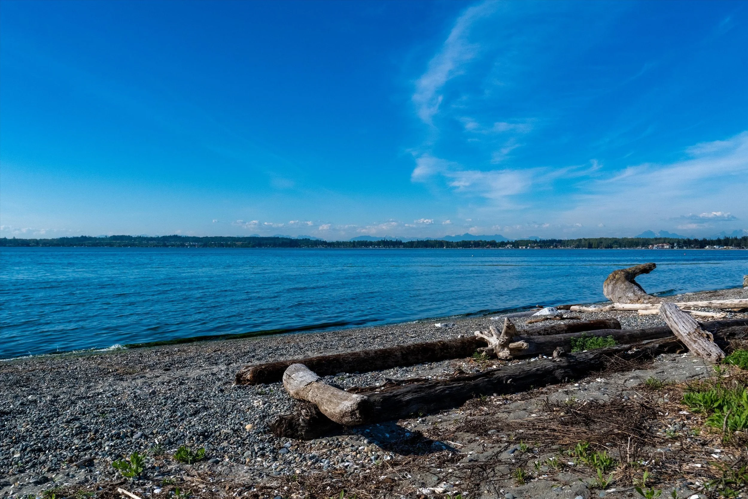 49-Birch Bay State Park-4.jpg