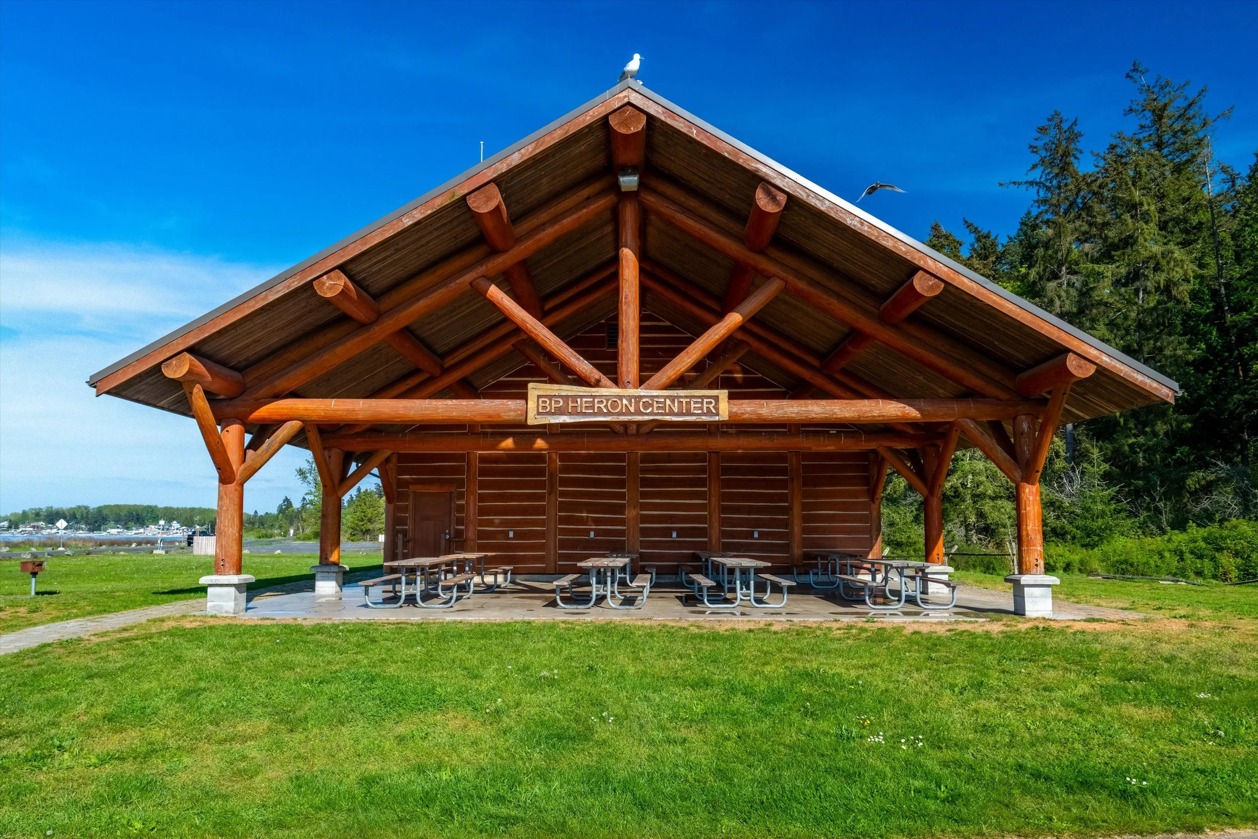 52-Birch Bay State Park-7.jpg