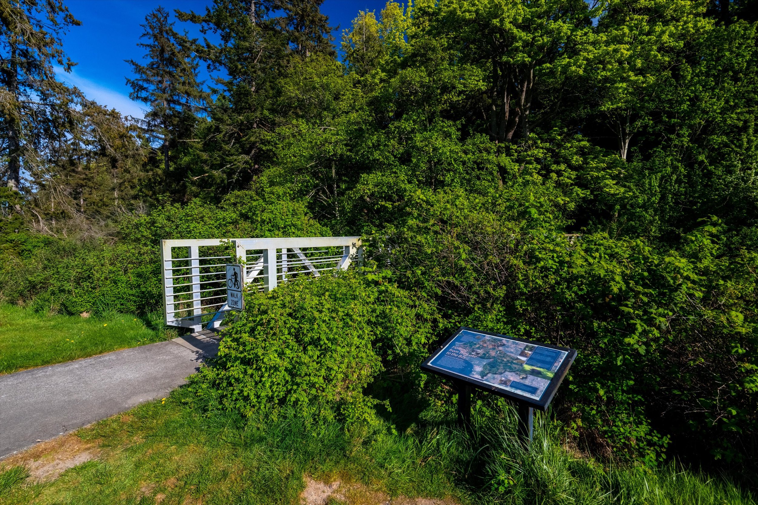57-Birch Bay State Park-12.jpg