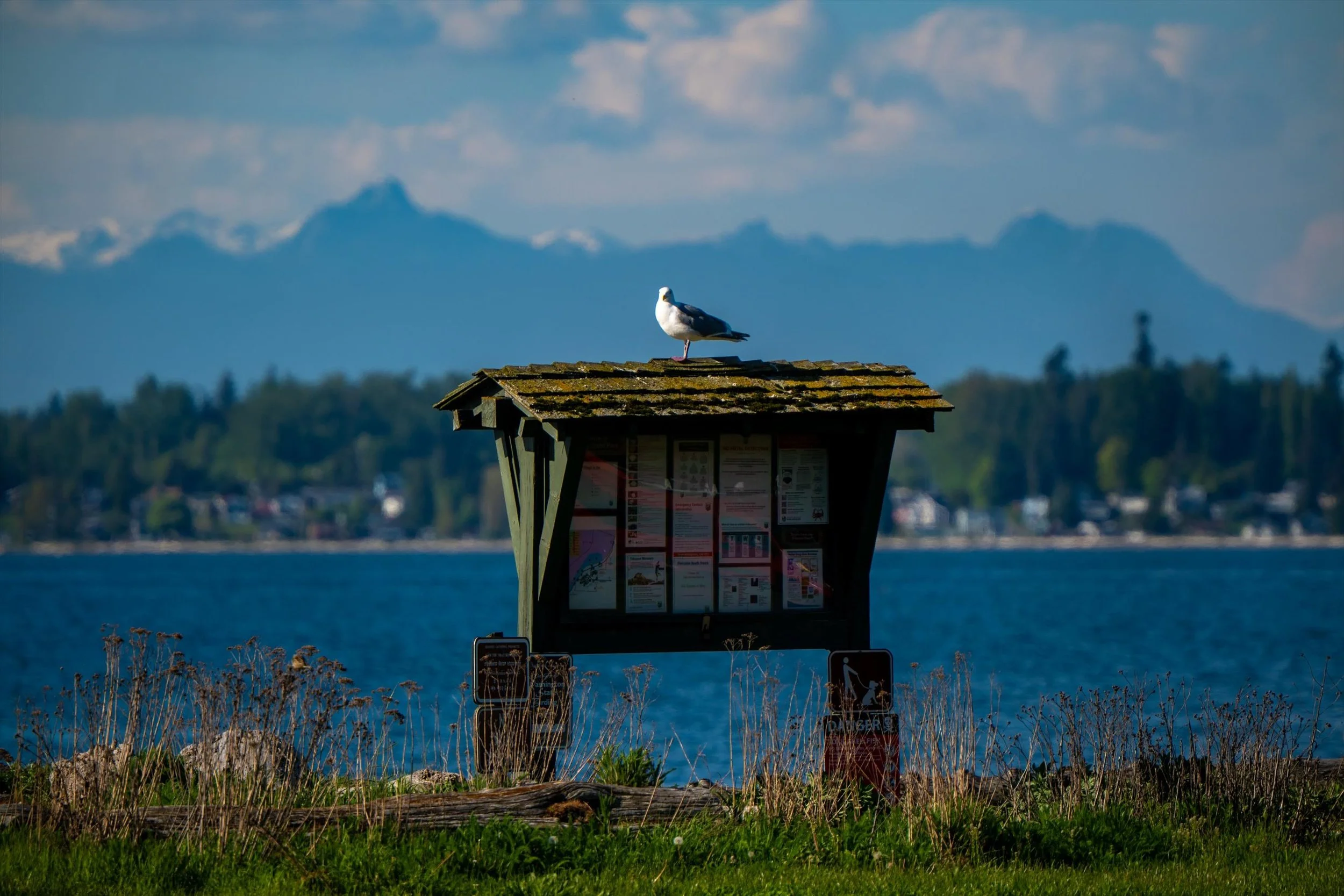 68-Birch Bay State Park-26.jpg