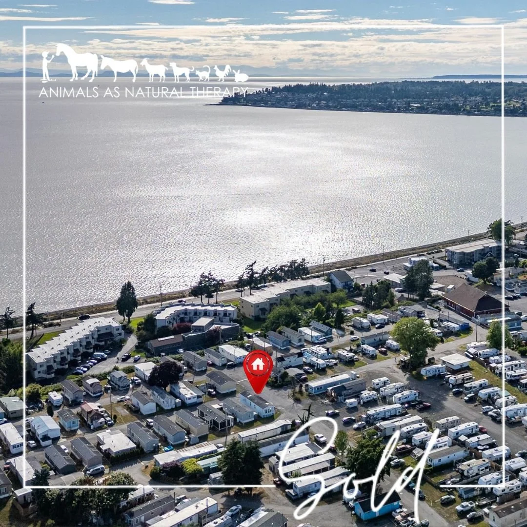8080 Harborview Road M190 | Blaine, WA 98230