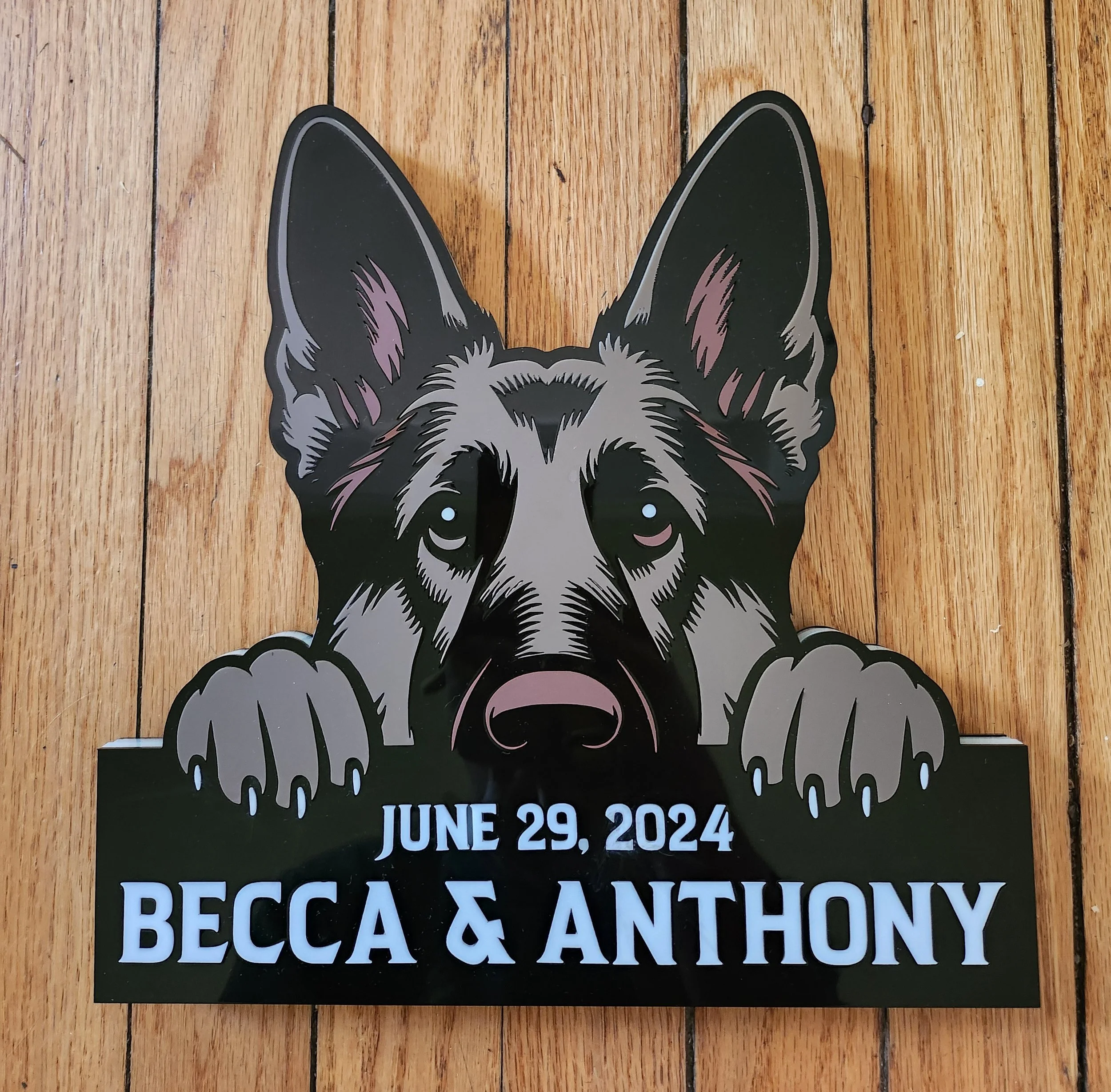 Becca and Anthony Wedding LED Dog Sign