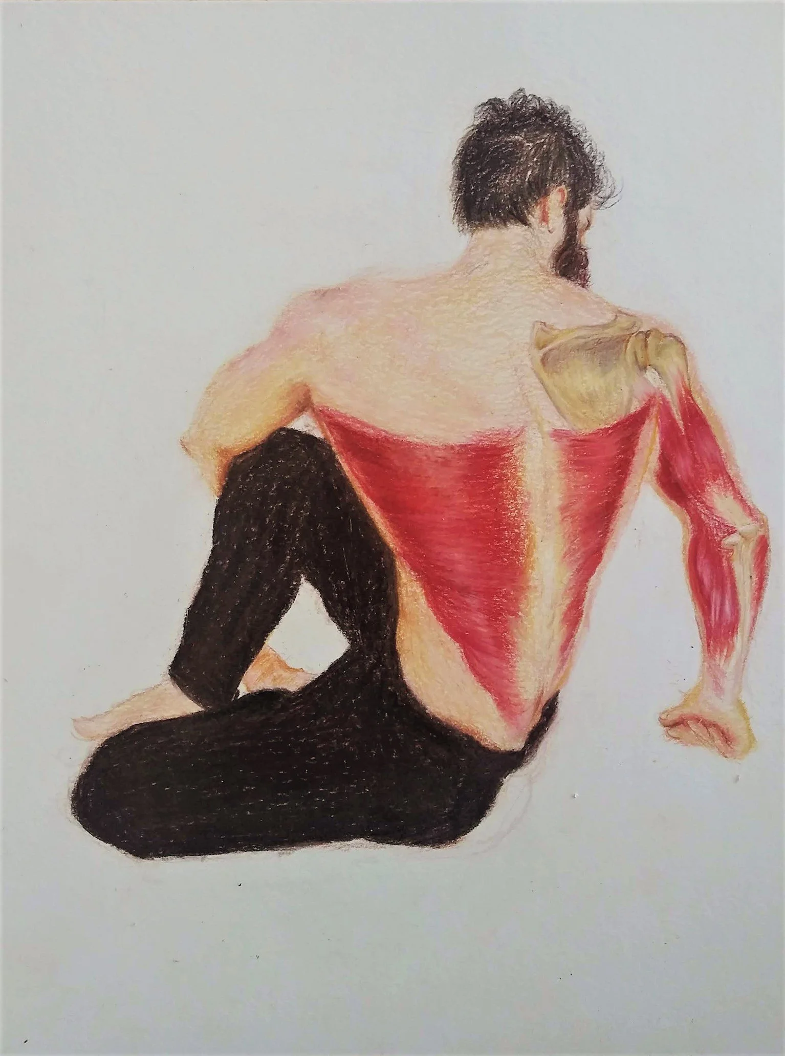 Anatomy Study, Drawn from Real Life