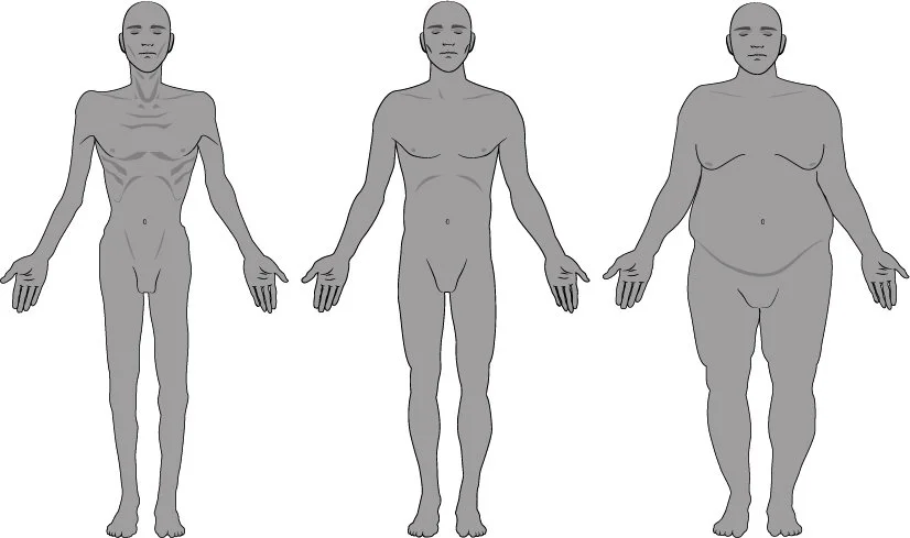 Male Body Proportions