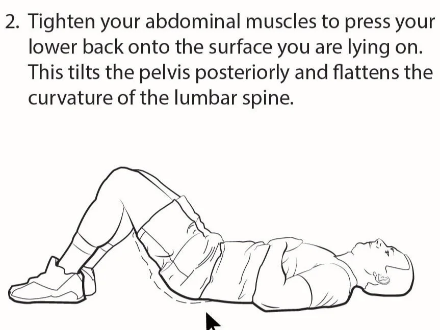 Strengthen Your Lower Back
