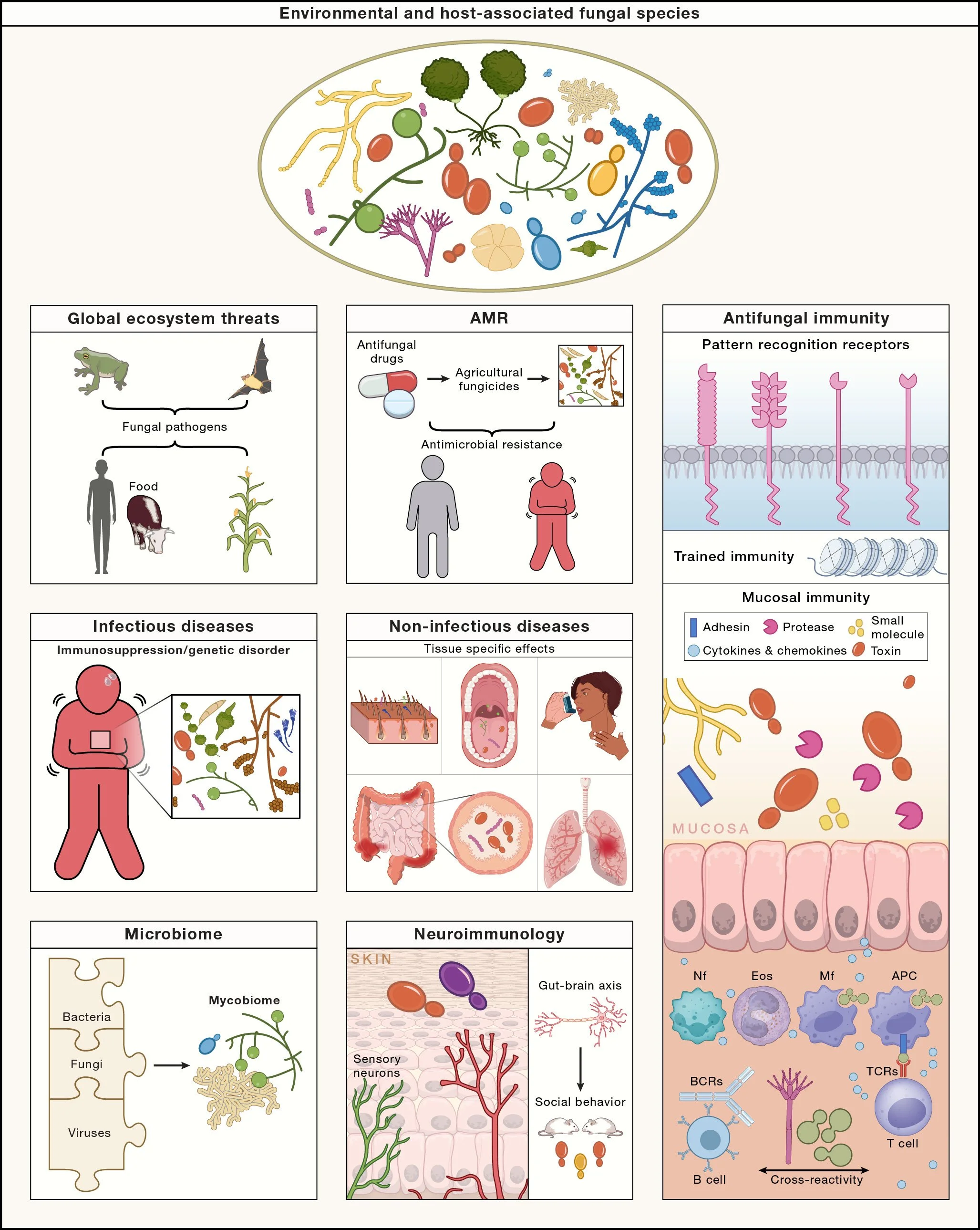 Environmental and Host-Associated Fungal Species