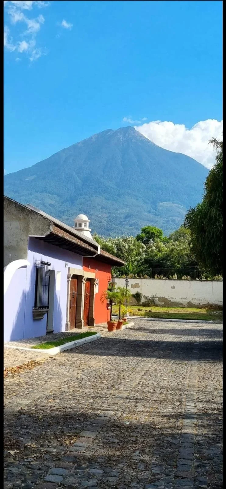 PHOTO-2023-05-05-12-14-10 (1).jpg