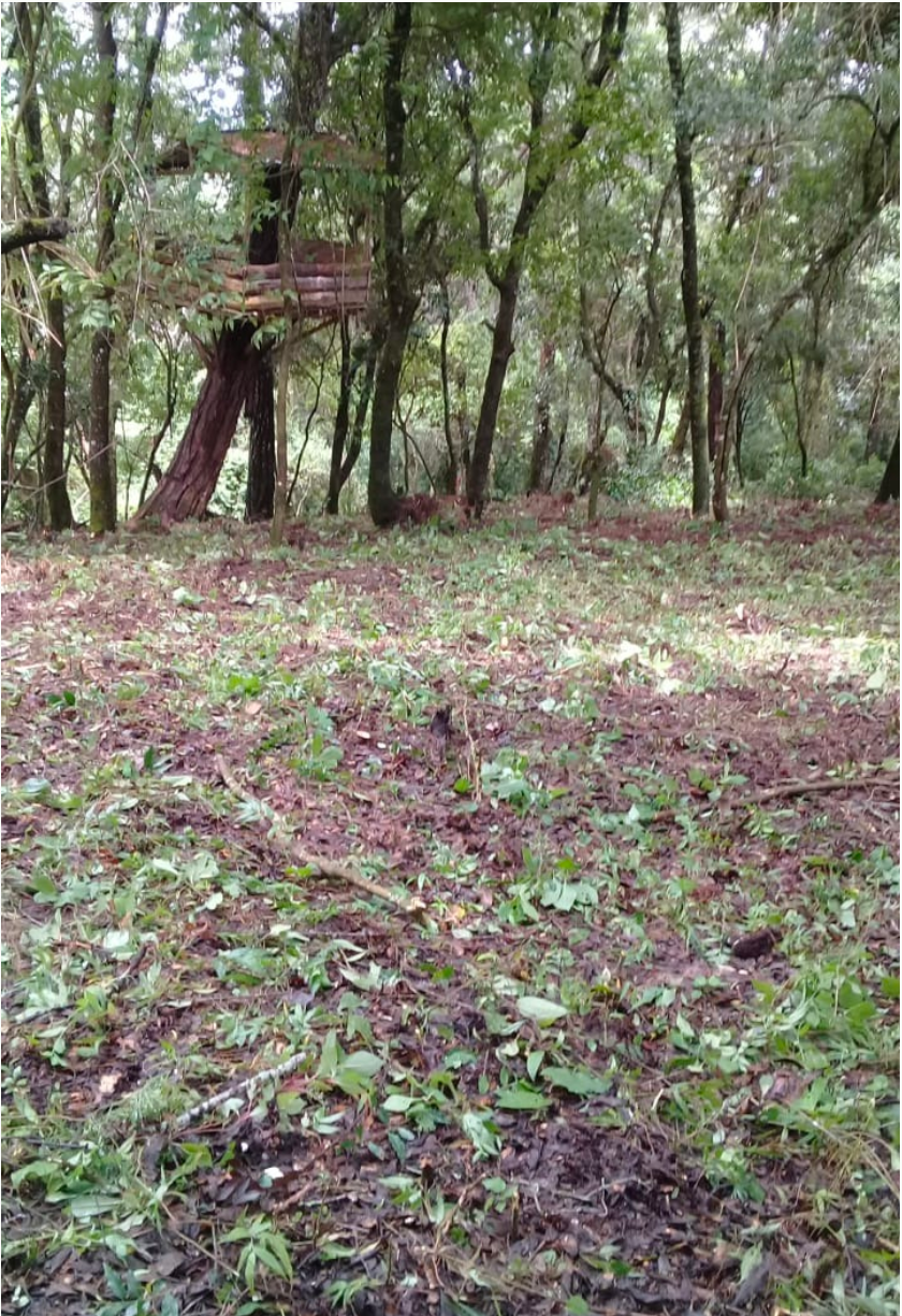 Screen Shot 2022-06-27 at 6.11.48 PM.png