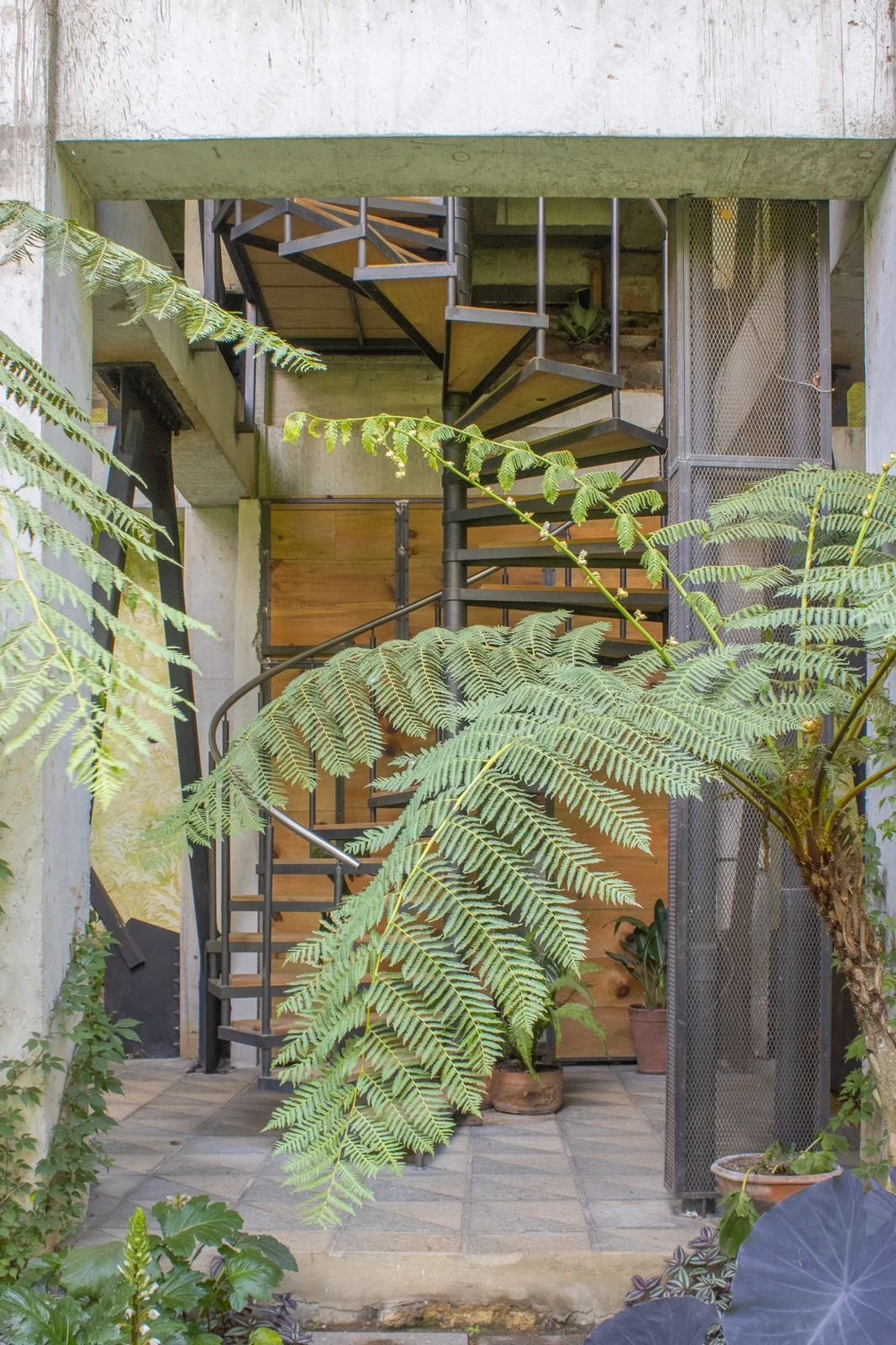 WhatsApp Image 2023-10-05 at 10.55.13 AM (5).jpeg