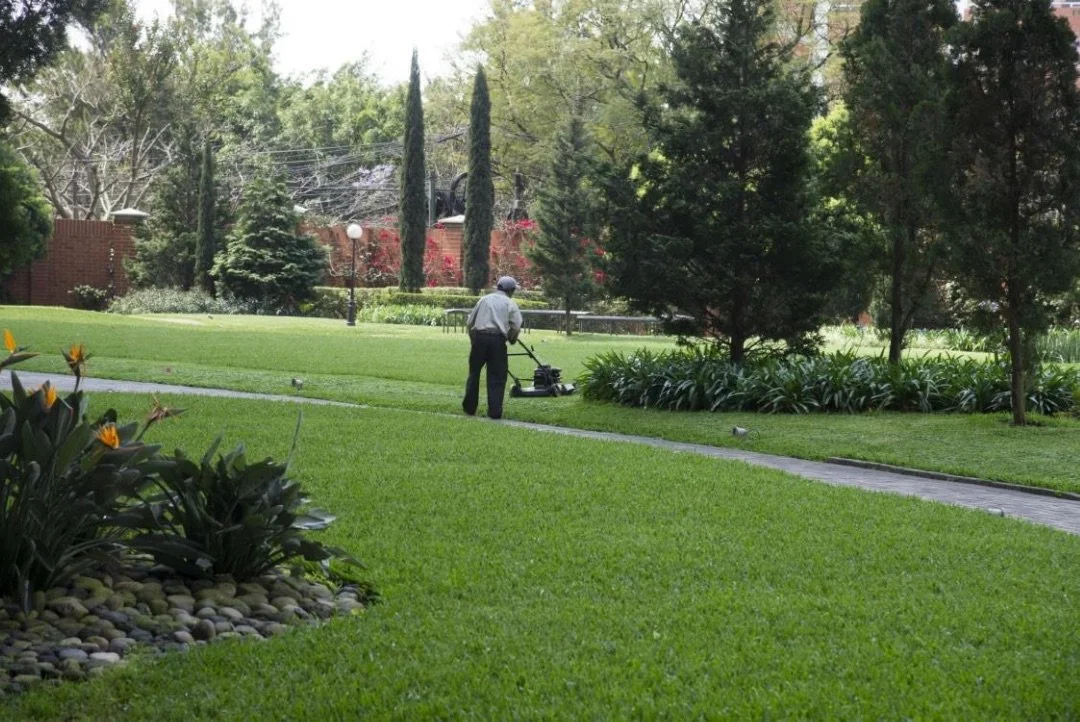 Screenshot 2022-11-02 at 6.29.09 PM.jpeg