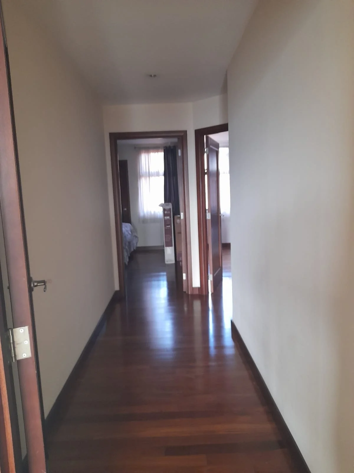 WhatsApp Image 2026-02-11 at 12.23.17 PM (5).jpeg