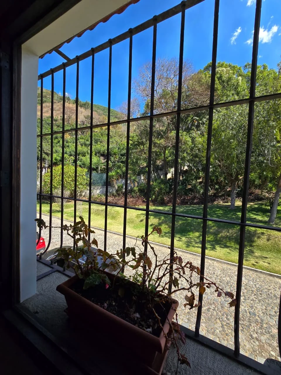 WhatsApp Image 2026-01-30 at 3.27.09 PM (4).jpeg