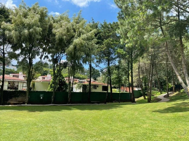 PHOTO-2023-05-07-11-18-38 (5).jpg