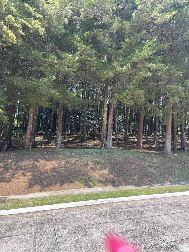 WhatsApp Image 2023-05-08 at 8.20.04 PM.jpeg