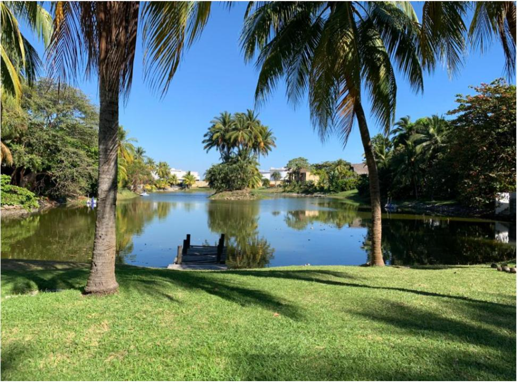 Screen Shot 2021-08-03 at 4.55.17 PM.png