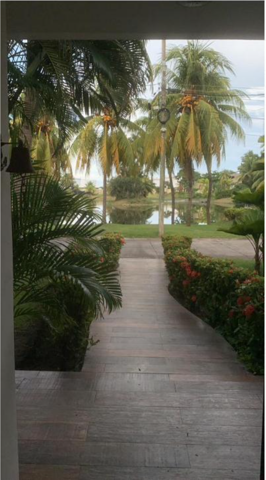 Screen Shot 2021-08-03 at 4.56.13 PM.png