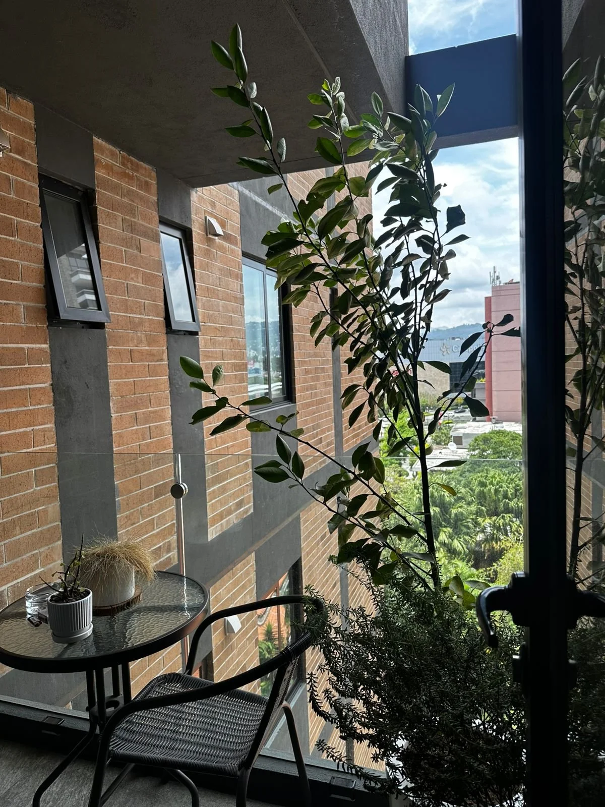 WhatsApp Image 2025-07-04 at 9.01.41 AM (1).jpeg