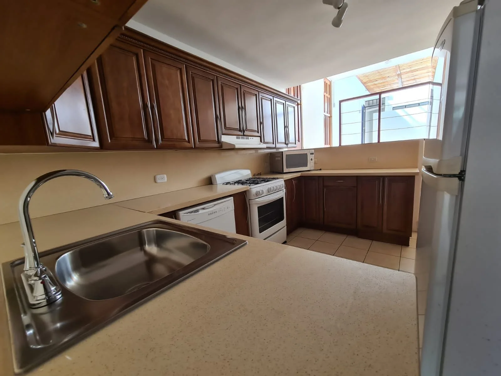 PHOTO-2023-01-09-17-14-45 (2).jpg