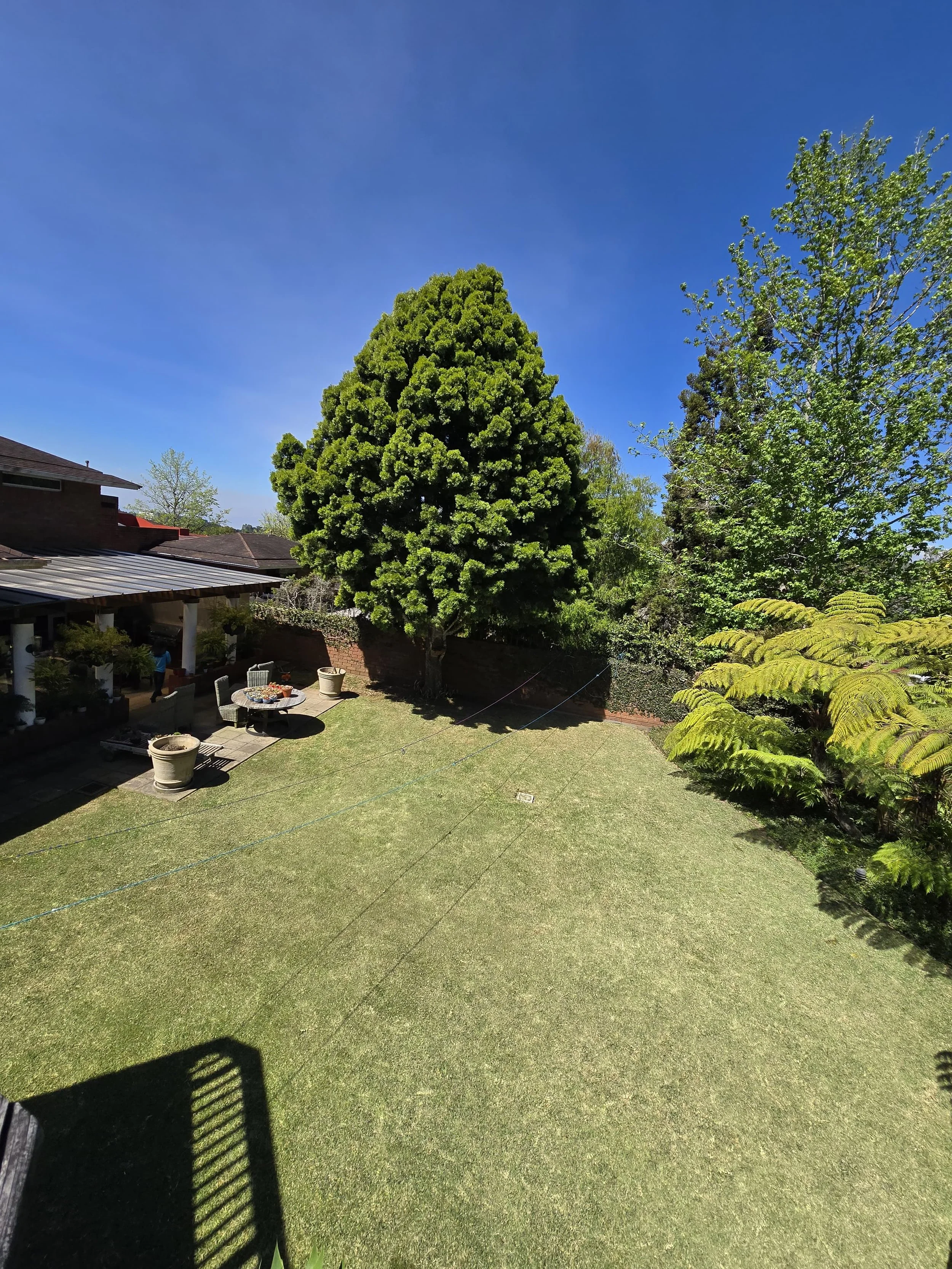 WhatsApp Image 2026-02-26 at 10.51.46 AM (8).jpeg