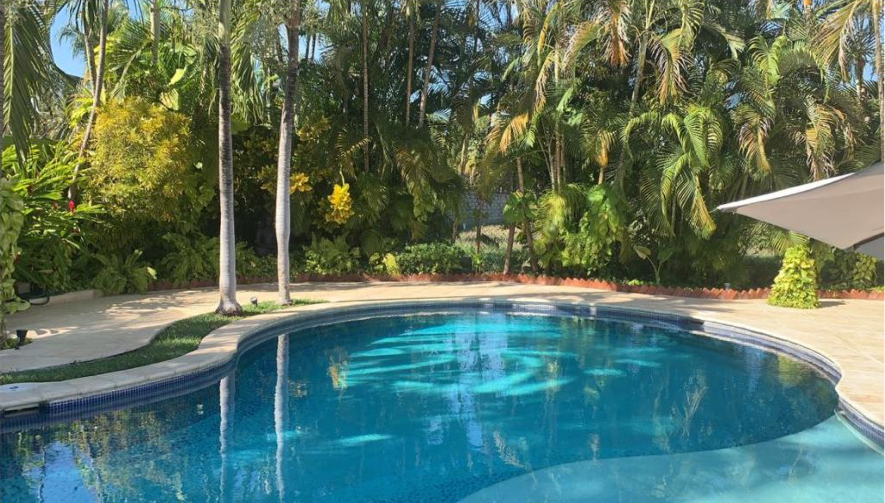 Screen Shot 2021-08-03 at 5.00.42 PM.png