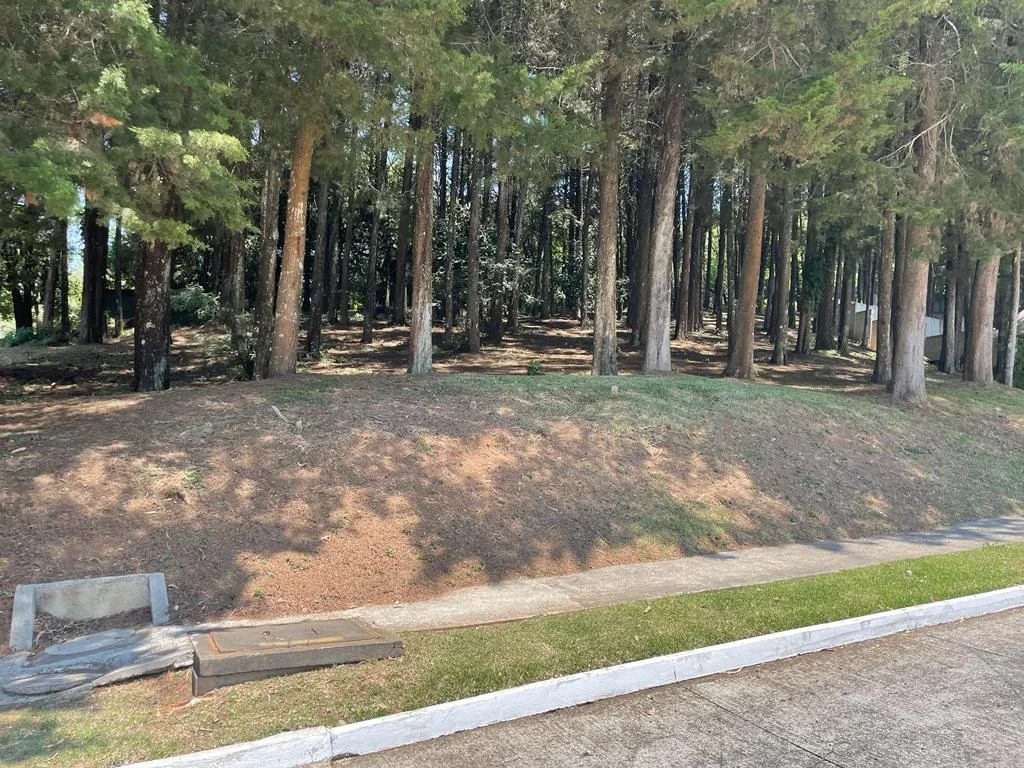 WhatsApp Image 2023-05-08 at 8.20.05 PM (1).jpeg