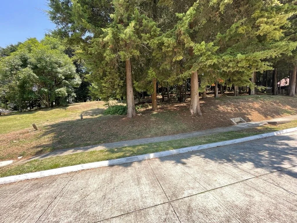 WhatsApp Image 2023-05-08 at 8.20.05 PM.jpeg