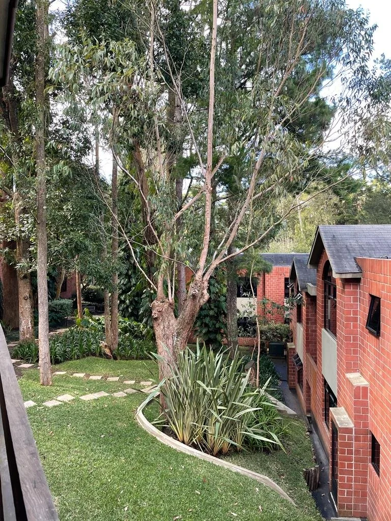 WhatsApp Image 2023-06-06 at 11.48.45 AM (8).jpeg