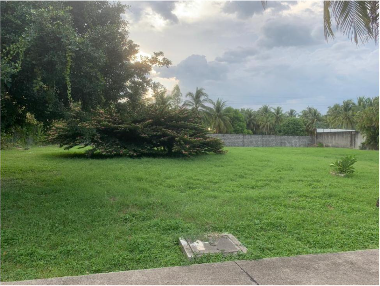 Screen Shot 2021-08-03 at 5.04.34 PM.png