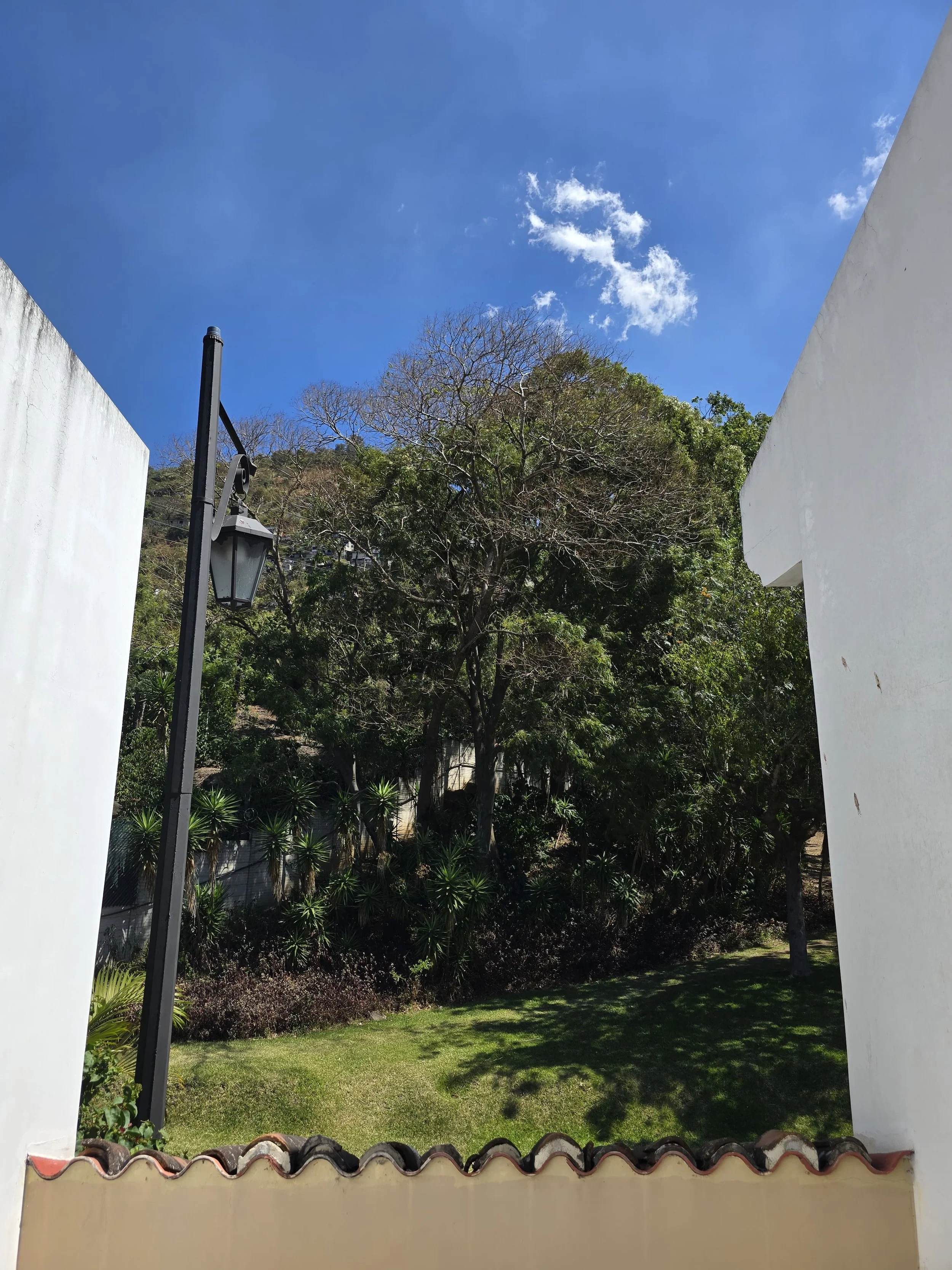 WhatsApp Image 2026-01-30 at 3.27.05 PM.jpeg