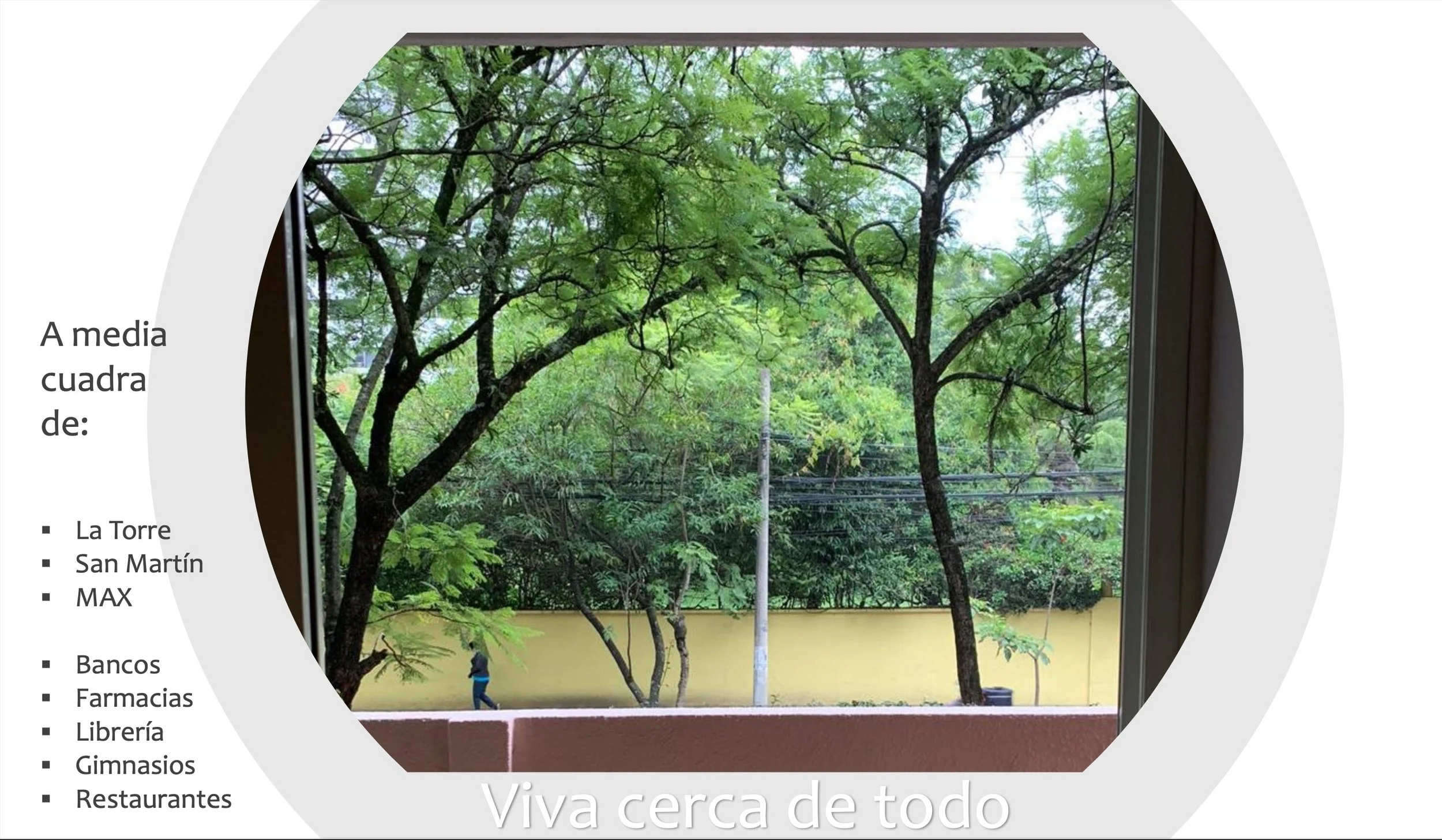 Screenshot 2025-06-06 at 11.04.57 AM.jpeg