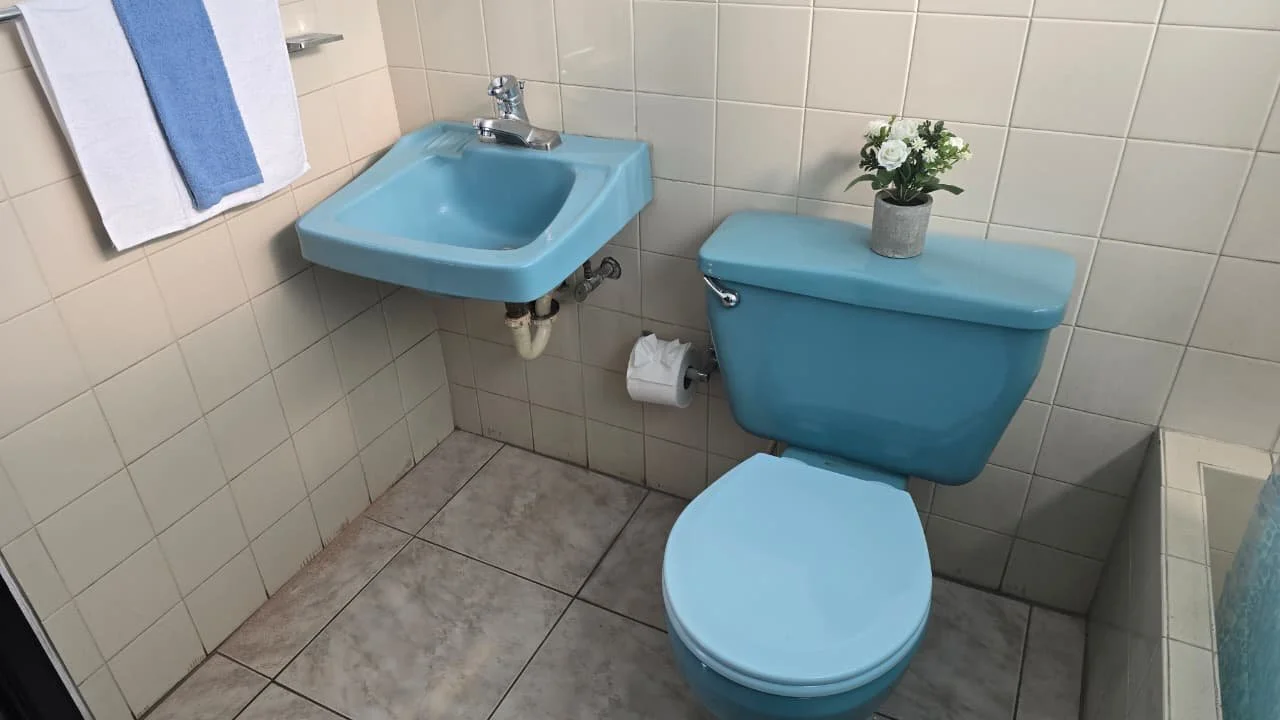 WhatsApp Image 2026-02-19 at 4.25.07 PM (6).jpeg