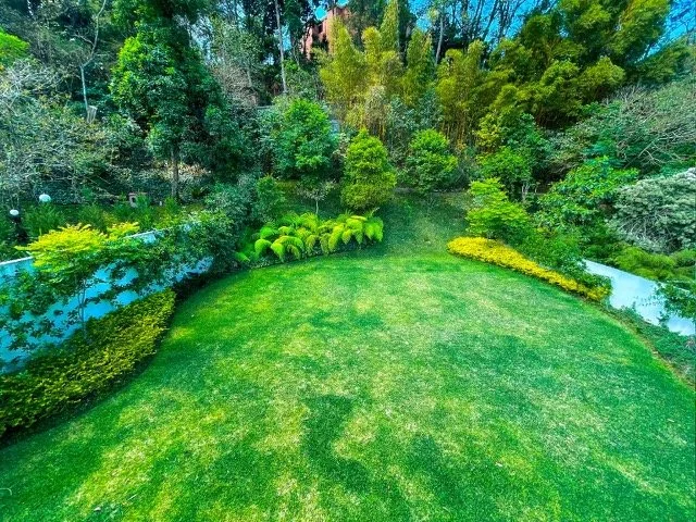 PHOTO-2022-04-05-19-53-43 (2).jpg