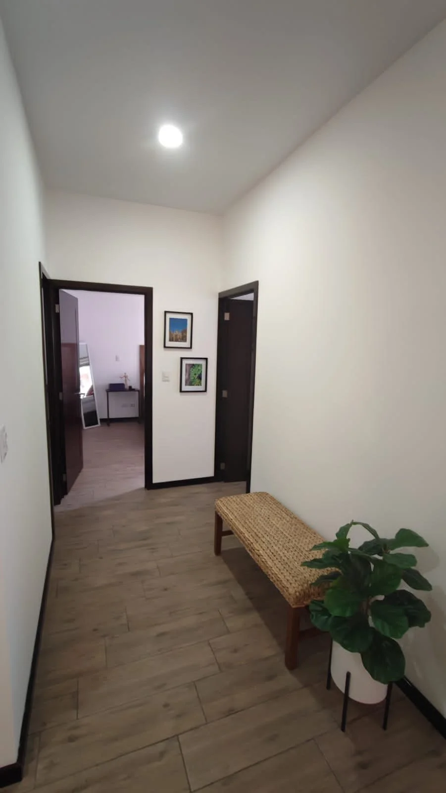 PHOTO-2023-07-20-15-11-06 (3).jpg