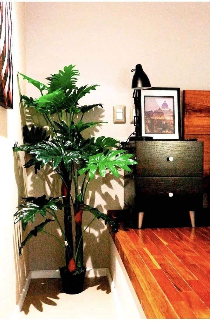 WhatsApp Image 2022-06-17 at 7.42.05 AM (2).jpeg