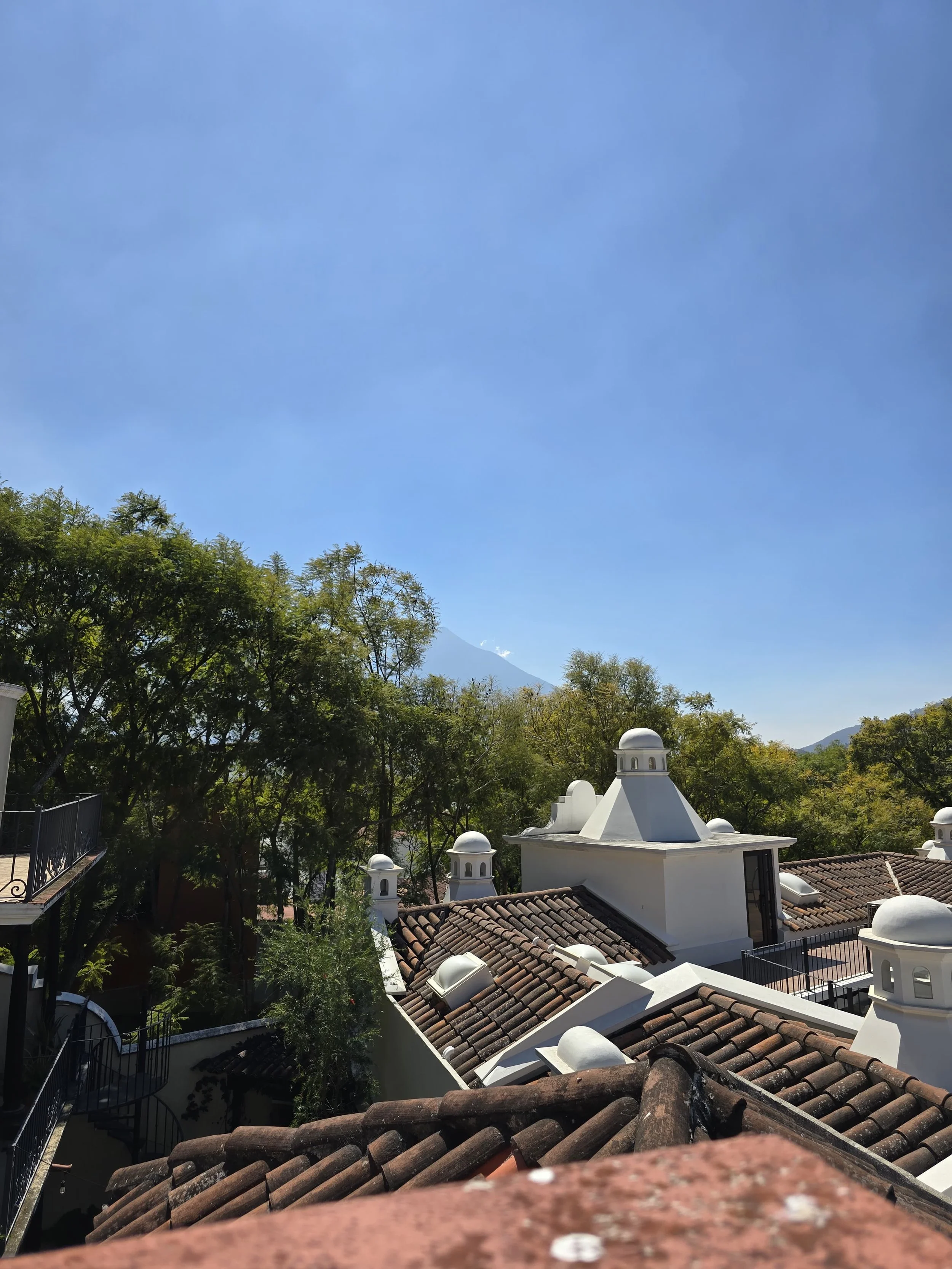 WhatsApp Image 2026-01-30 at 3.27.09 PM.jpeg