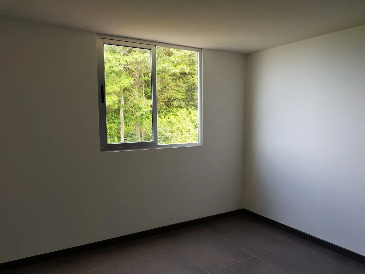 WhatsApp Image 2024-09-20 at 5.52.13 PM.jpeg