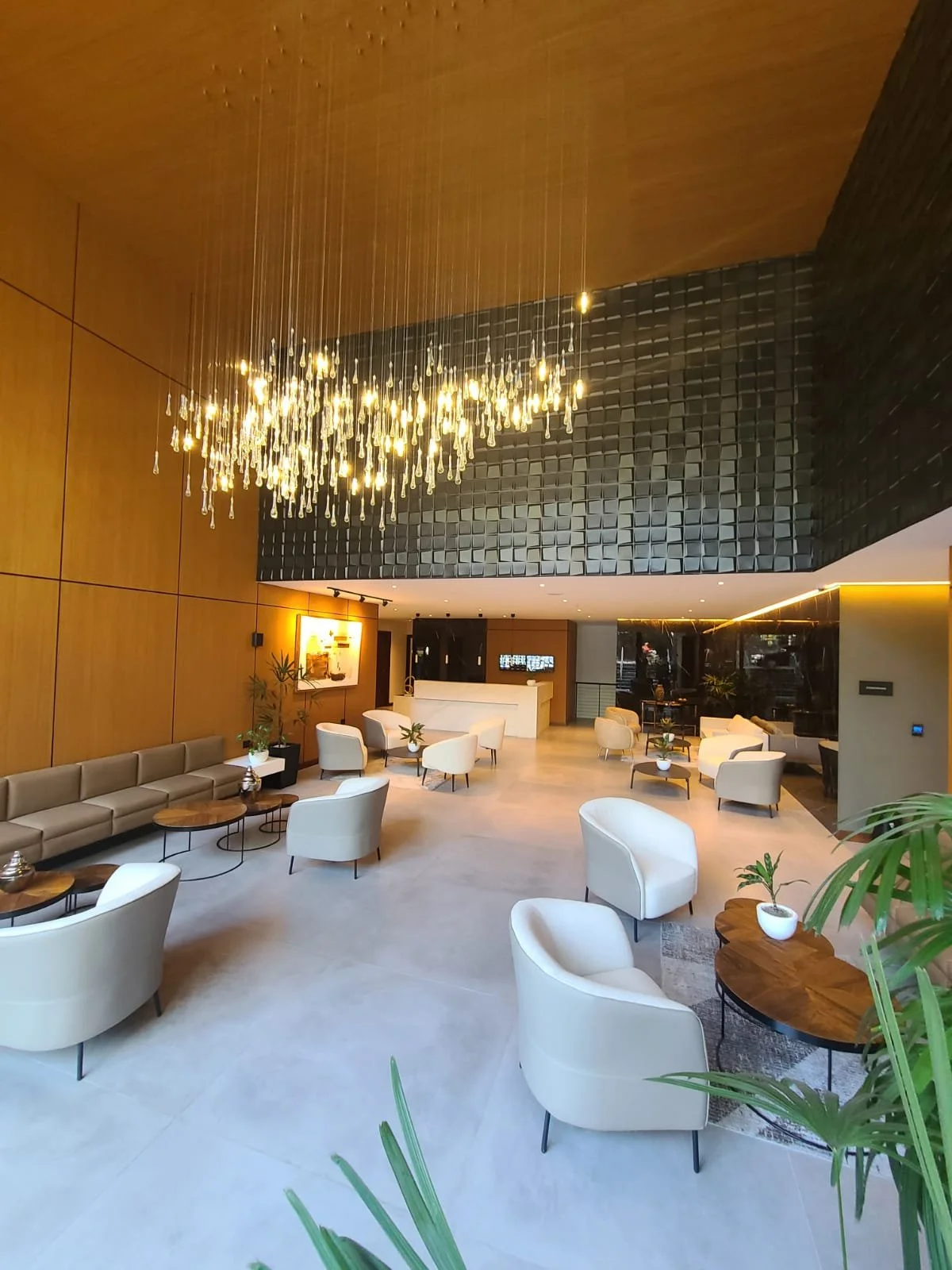 WhatsApp Image 2025-06-13 at 1.54.22 PM (1).jpeg