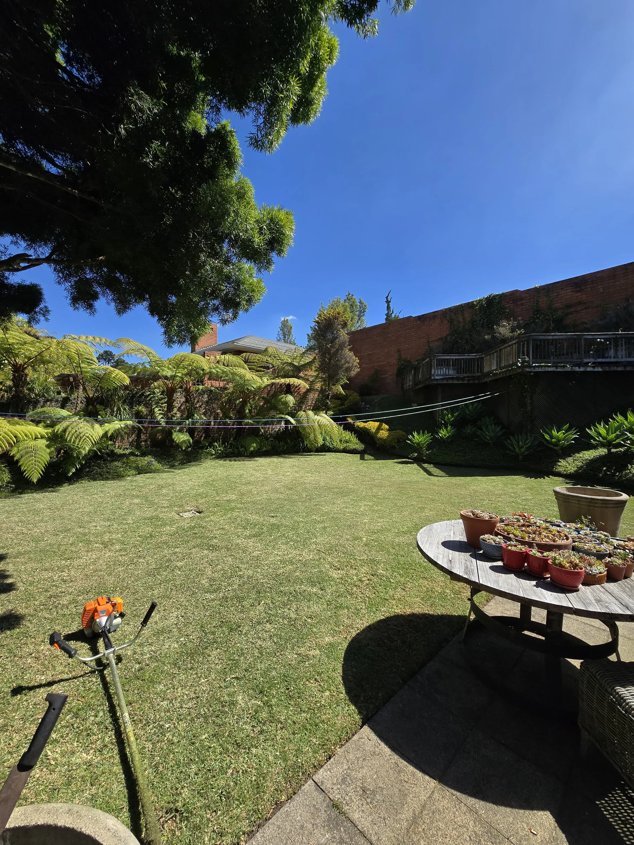 WhatsApp Image 2026-02-26 at 10.51.46 AM (7).jpeg