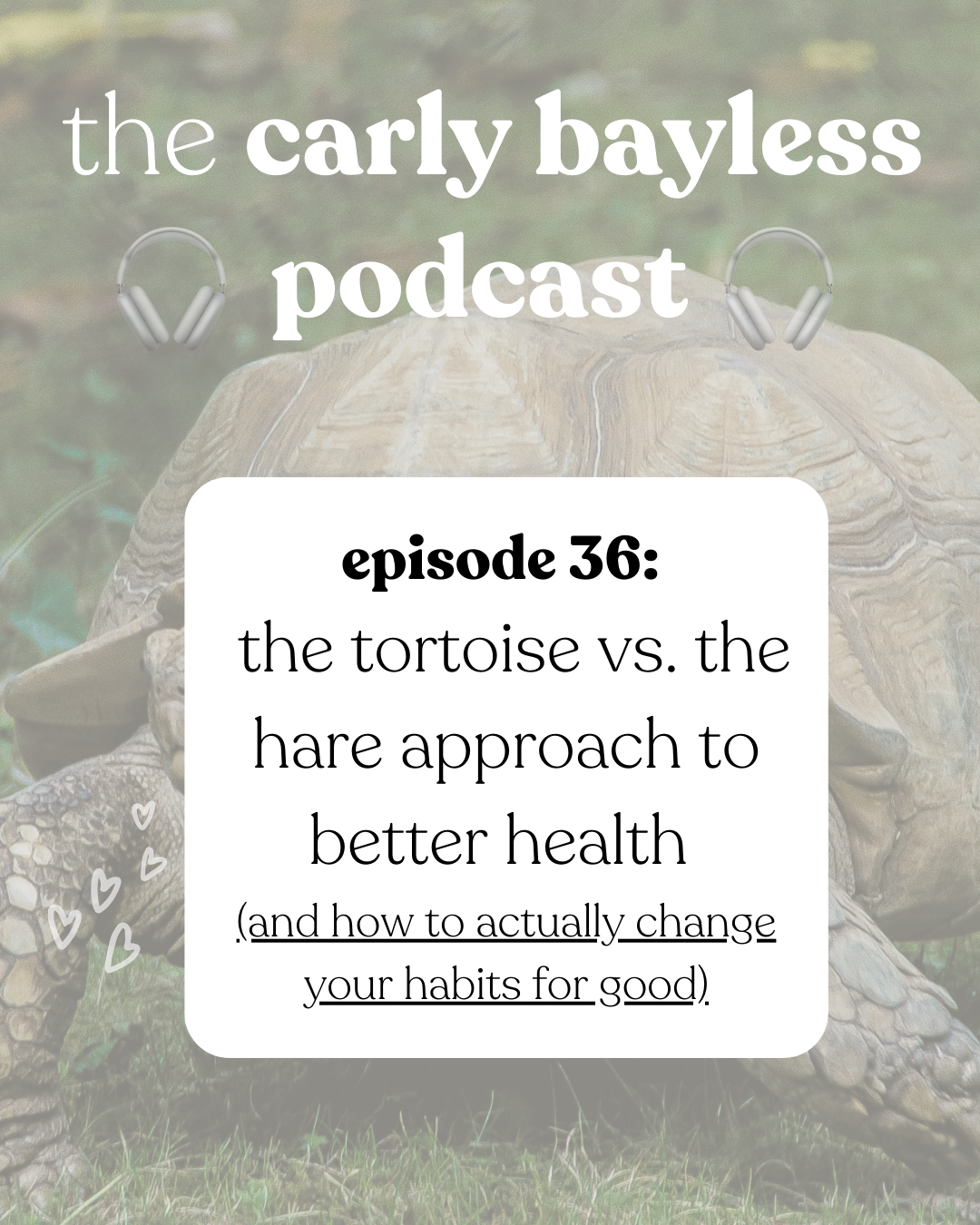 36: The Tortoise (vs. the Hare) Approach To Habit Change 🐢