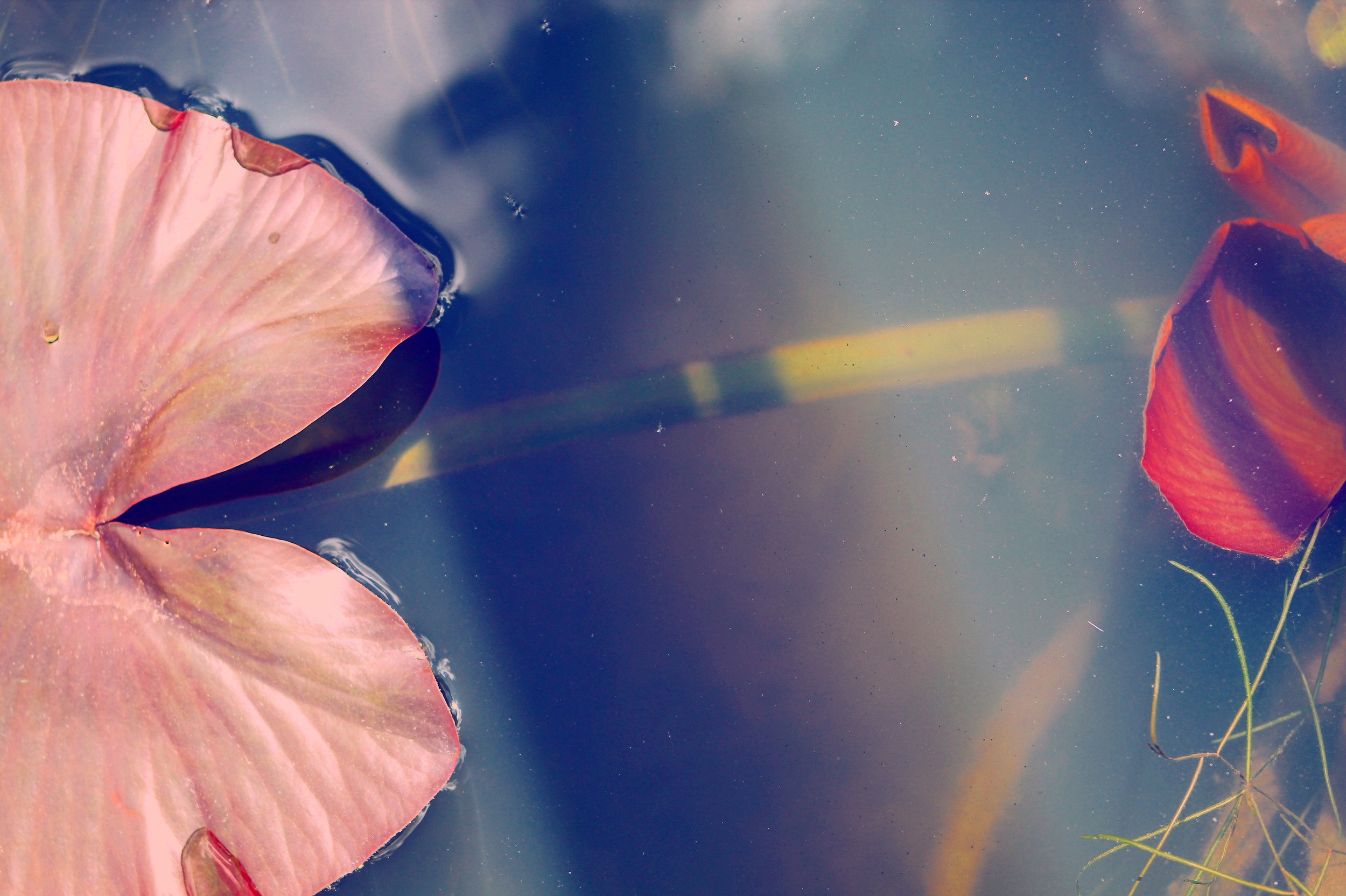 Under Water
