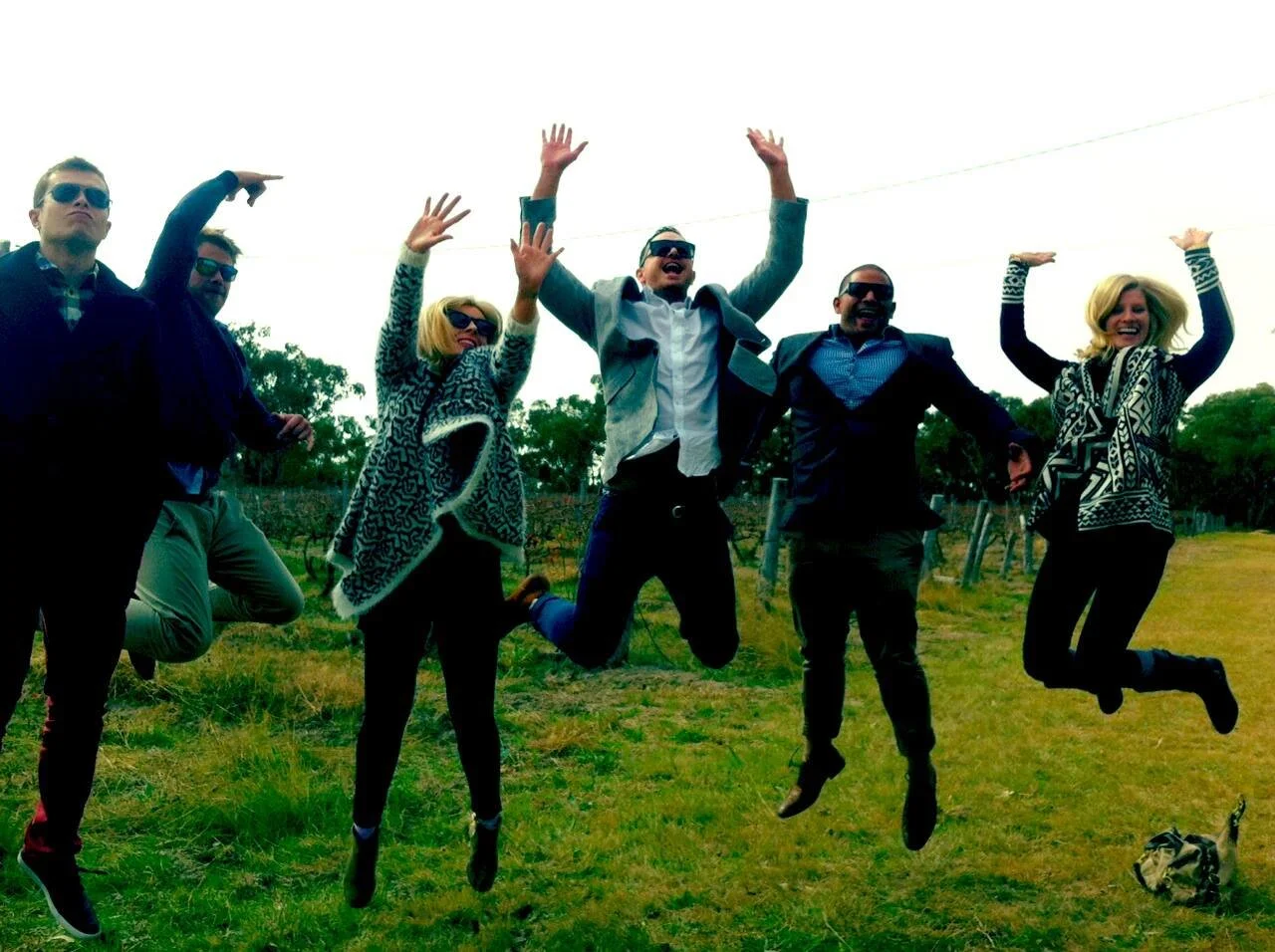 Group of six people jumping and smiling outdoors in a grassy field with trees in the background, some wearing sunglasses and stylish outfits.
