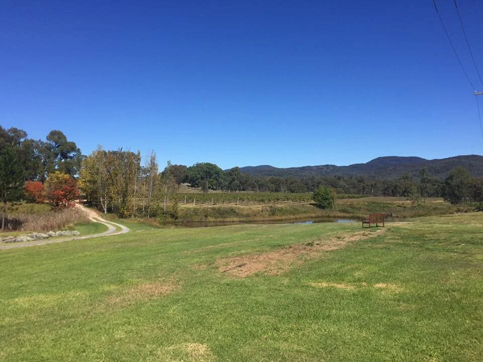 Open grassy field with a pond, trees, a wooden bench, and mountains in the distance under a clear blue sky.