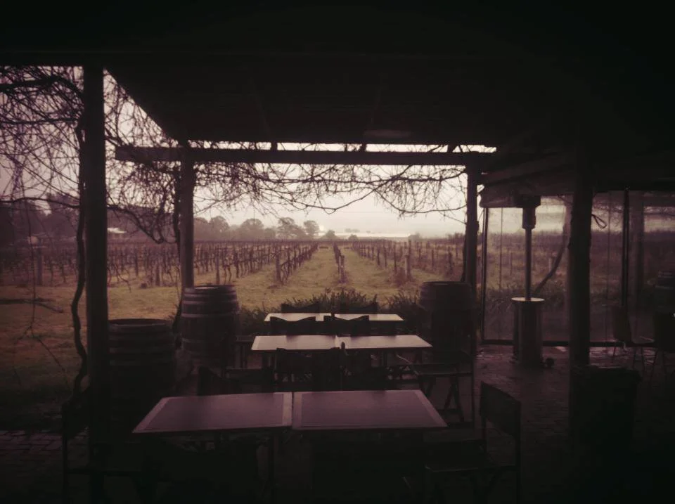 Outdoor deck overlooking a vineyard with tables and chairs under a canopy.